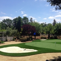 Artificial Grass Cypress, California Outdoor Putting Green, Front Yard Landscape Ideas