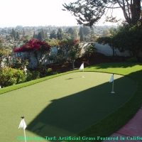 Artificial Grass , How To Build A Putting Green, Backyard Ideas