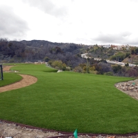 Artificial Grass Installation Oceanside, California Design Ideas