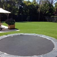 Artificial Grass Weldon, California Design Ideas, Natural Swimming Pools