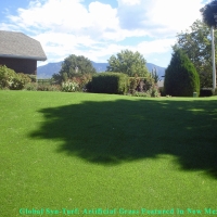 Artificial Turf Cost , Dog Running, Backyards