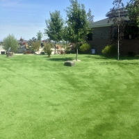 Artificial Turf Hawaiian Gardens, California Indoor Dog Park, Parks