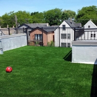 Best Artificial Grass Los Alamitos, California Dog Grass, Roof Top