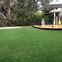 Fake Lawn Banning, California Playground