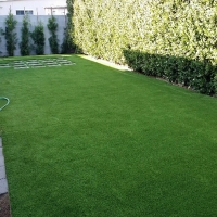 Fake Lawn Lemon Grove, California Backyard Deck Ideas, Beautiful Backyards