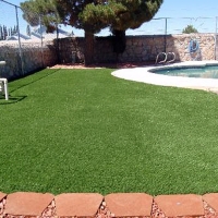 Fake Lawn Rossmoor, California Dog Running, Pool Designs