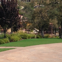 Grass Carpet El Segundo, California Landscape Design, Commercial Landscape