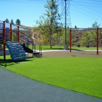 Grass Carpet Lake Forest, California Landscape Ideas, Parks