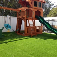 Grass Carpet West Athens, California Indoor Playground, Backyards