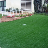 Grass Installation Las Flores, California Putting Green Turf, Front Yard Ideas