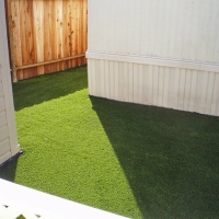 Green Lawn Norco, California Dog Hospital, Backyard Landscaping