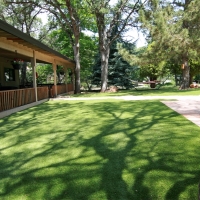 Lawn Services Manhattan Beach, California Indoor Dog Park, Beautiful Backyards