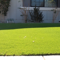 Outdoor Carpet Bonsall, California Lawns, Small Front Yard Landscaping