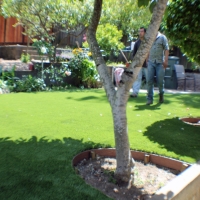 Outdoor Carpet Colton, California Paver Patio, Backyard Designs