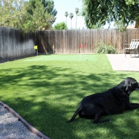 Outdoor Carpet Nuevo, California Drainage, Dogs