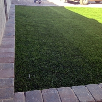 Plastic Grass Citrus, California Dog Hospital, Front Yard Landscaping