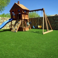 Plastic Grass Sherman Oaks, California Landscape Photos, Backyard Designs