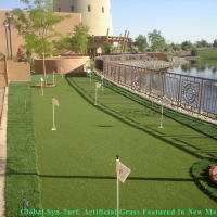 Synthetic Lawn , Landscaping Business, Beautiful Backyards