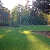 Synthetic Lawn Orange, California Landscape Ideas, Recreational Areas