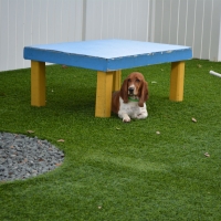 Synthetic Turf Cherry Valley, California Watch Dogs, Dog Kennels