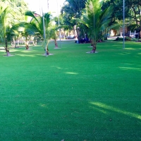 Synthetic Turf Lytle Creek, California Backyard Playground, Front Yard Landscaping