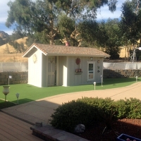 Turf Grass Lamont, California Gardeners, Commercial Landscape