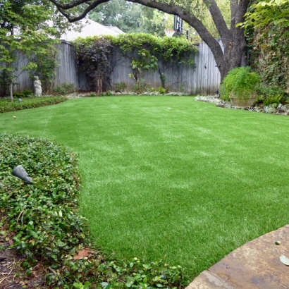 Artificial Grass Carpet Belvedere, California City Landscape, Backyard Makeover