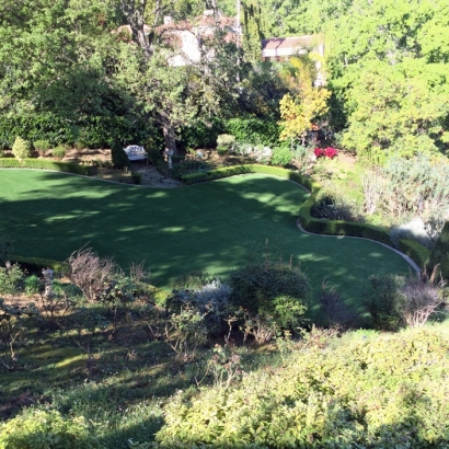 Artificial Grass Carpet Beverly Hills, California Design Ideas, Backyard Designs