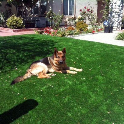Artificial Grass Carpet China Lake Acres, California Backyard Deck Ideas, Grass for Dogs