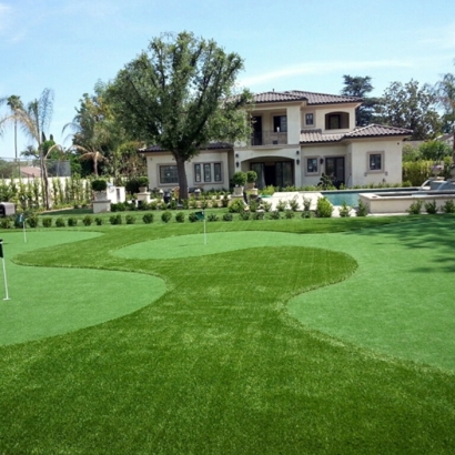 Artificial Grass Carpet Midway City, California Gardeners, Front Yard Ideas