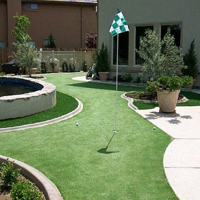Artificial Grass Carpet Westlake Village, California Putting Green Carpet, Backyard Ideas