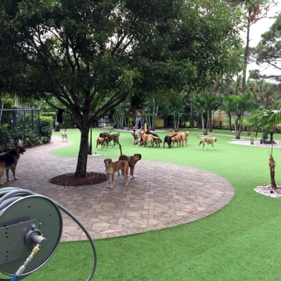 Artificial Grass Installation South San Gabriel, California Dog Run, Commercial Landscape