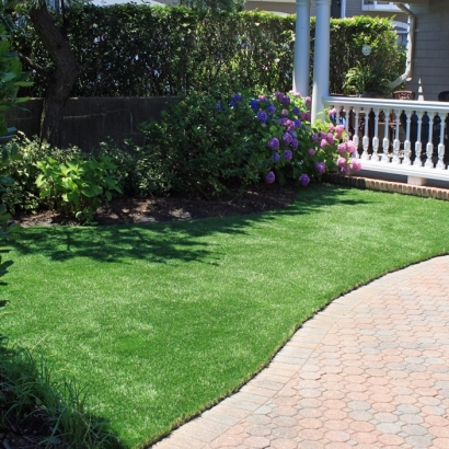 Artificial Grass , Rooftop, Front Yard Landscaping