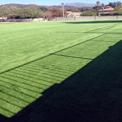 Artificial Grass San Joaquin Hills, California Lawn And Garden