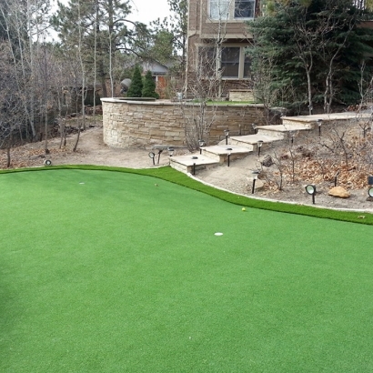 Artificial Lawn Huntington Park, California Putting Green, Backyard Landscape Ideas