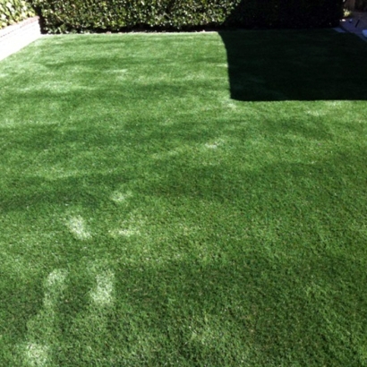 Artificial Lawn Inyokern, California Fake Grass For Dogs, Backyard Design