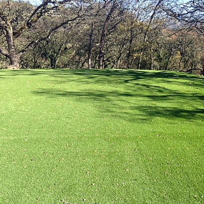 Artificial Lawn San Antonio Heights, California Rooftop, Parks