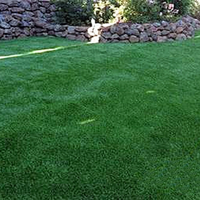 Artificial Turf Cost Cherry Valley, California Pictures Of Dogs, Backyard Garden Ideas