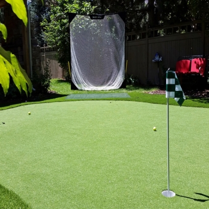 Artificial Turf Cost Goleta, California Putting Green, Backyards