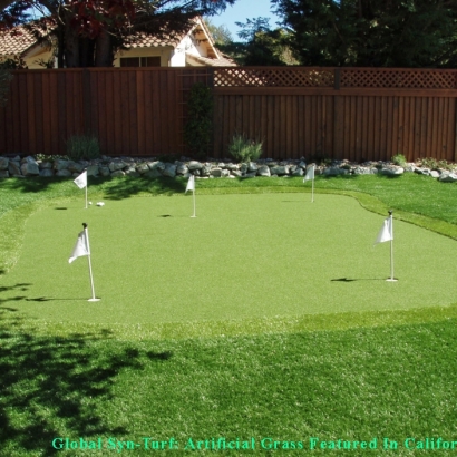 Artificial Turf , Indoor Putting Greens, Beautiful Backyards