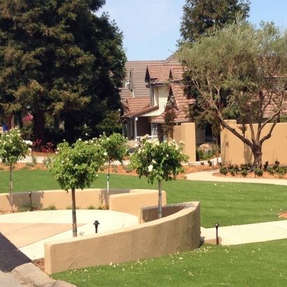 Artificial Turf Installation Avalon, California Garden Ideas, Front Yard Design