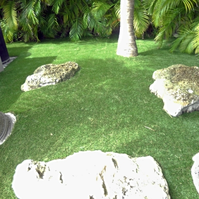 Artificial Turf , Landscape Photos, Backyard Designs