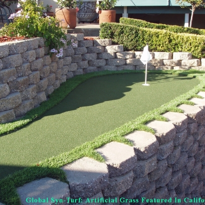 Artificial Turf , Putting Green Grass, Backyard Designs