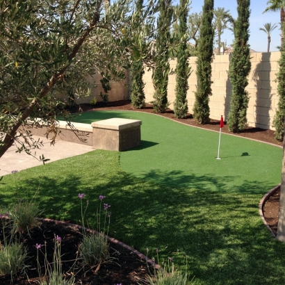 Best Artificial Grass Bermuda Dunes, California Putting Green Flags, Backyard Landscape Ideas