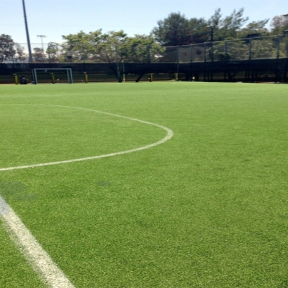 Best Artificial Grass Dana Point, California High School Sports