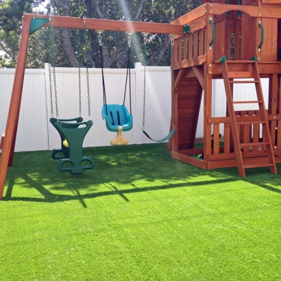 Best Artificial Grass Encinitas, California Lawns, Small Backyard Ideas