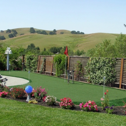 Best Artificial Grass La Habra Heights, California Garden Ideas, Backyard Makeover