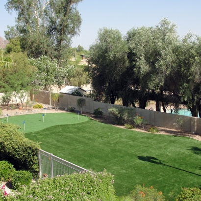 Fake Grass Canyon Lake, California Design Ideas, Backyard Garden Ideas