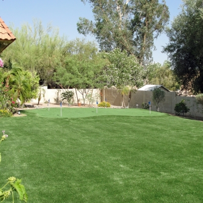 Fake Grass Canyon Lake, California Design Ideas, Backyard Garden Ideas