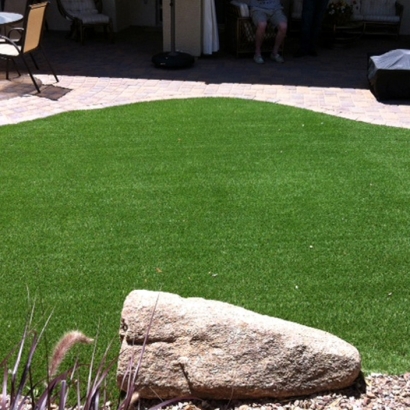 Fake Grass Carpet Bear Valley Springs, California Dog Pound, Backyard Designs